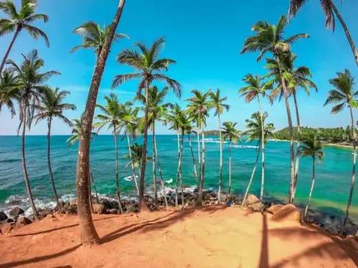 Mirissa & Weligama