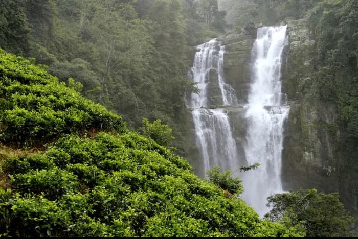Ella Scenic Countryside Cycling & Waterfall Tour