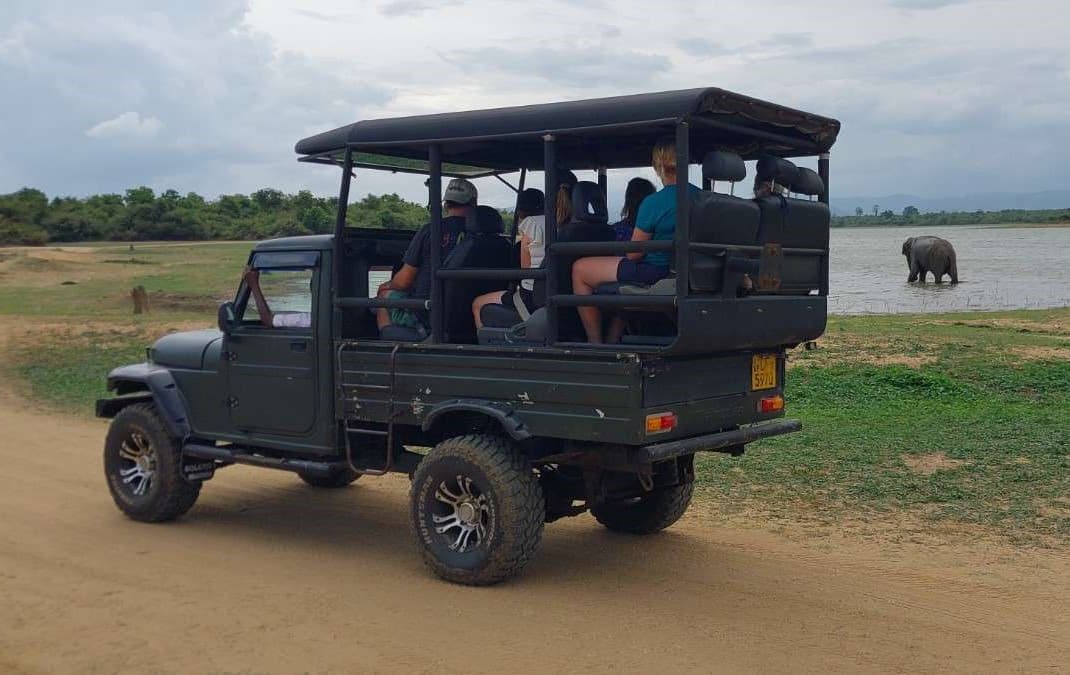 Udawalawe Elephant Safari & Elephant Transit Home
