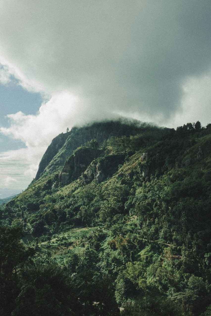 Ella Taxi Service vehicle in Sri Lanka